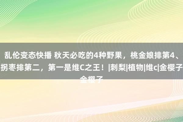 乱伦变态快播 秋天必吃的4种野果，桃金娘排第4、拐枣排第二，第一是维C之王！|刺梨|植物|维c|金樱子