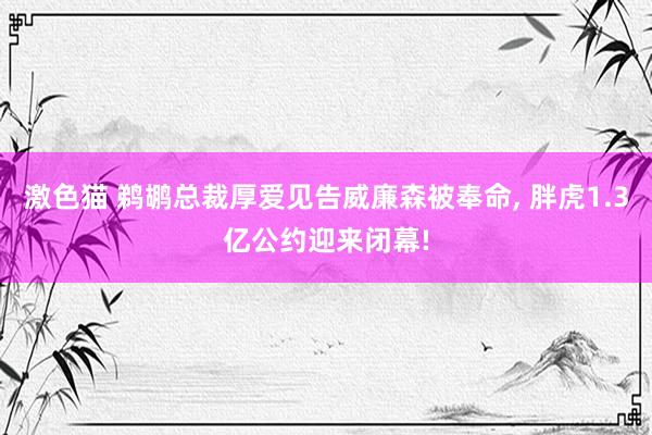 激色猫 鹈鹕总裁厚爱见告威廉森被奉命， 胖虎1.3亿公约迎来闭幕!