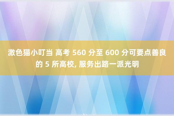 激色猫小叮当 高考 560 分至 600 分可要点善良的 5 所高校， 服务出路一派光明