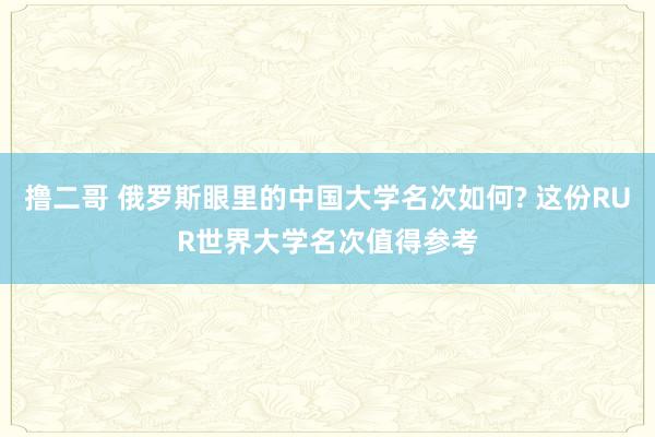撸二哥 俄罗斯眼里的中国大学名次如何? 这份RUR世界大学名次值得参考
