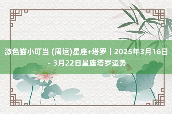 激色猫小叮当 (周运)星座+塔罗︱2025年3月16日 - 3月22日星座塔罗运势
