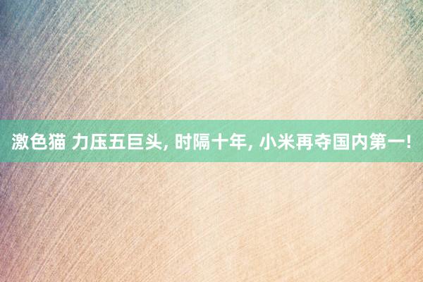 激色猫 力压五巨头， 时隔十年， 小米再夺国内第一!